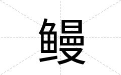 鳗