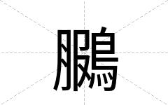 鵩