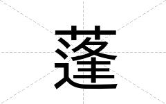 蓬