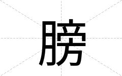 膀