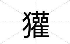 獾