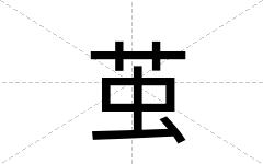 茧