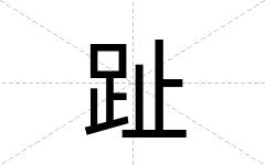 趾