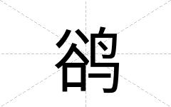 鹆