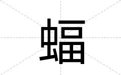 蝠
