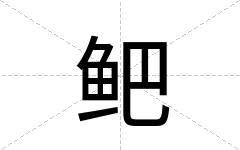 鲃
