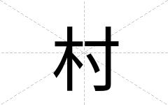 村