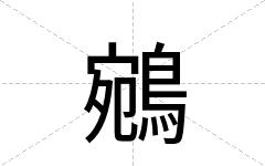 鵷