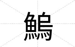 鰞