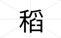 稻