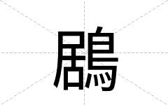 鶋