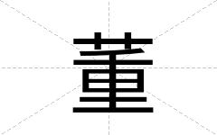 董