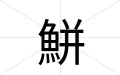 鮩