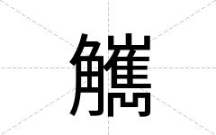 觽