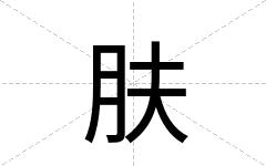 肤
