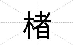 楮