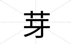 芽