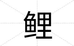鲤
