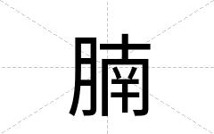腩