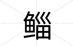 鲻