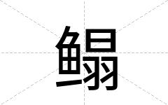 鳎