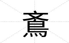 鴍