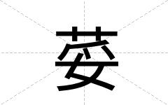荽