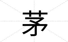 茅