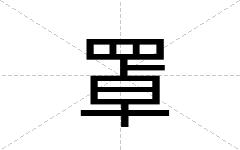 罩