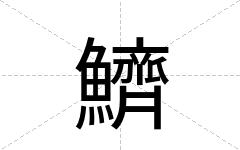 鱭