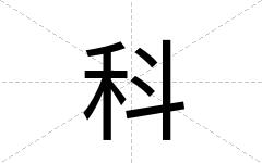科