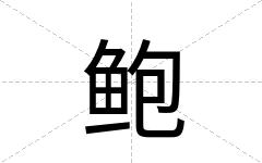 鲍