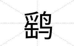 鹞