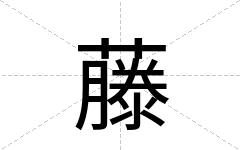 藤