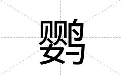 鹦