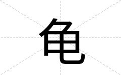 龟