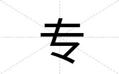 专