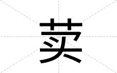 荬