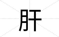 肝