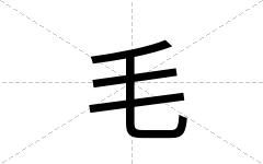 毛