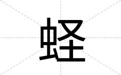 蛏