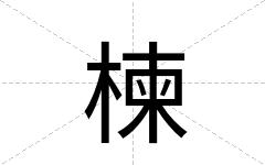 楝