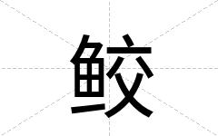 鲛