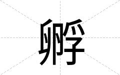 孵