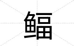 鲾