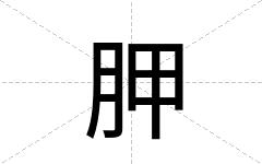 胛
