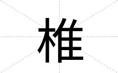 椎