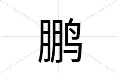 鹏