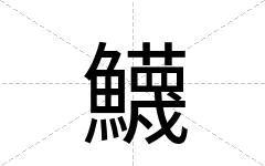 鱴