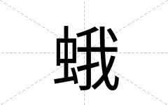 蛾